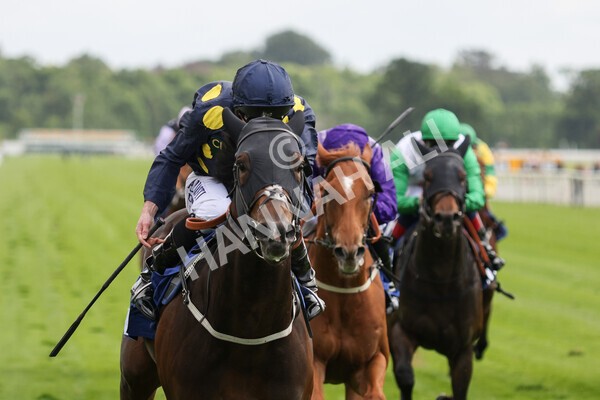 yr11062022r5-26 - Race 5 3.40pm The Pavers Foundation Catherine Memorial Sprint Stakes