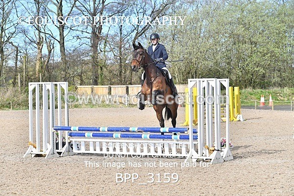 BPP_3159 - CLASS 1 Clear Round Show Jumping