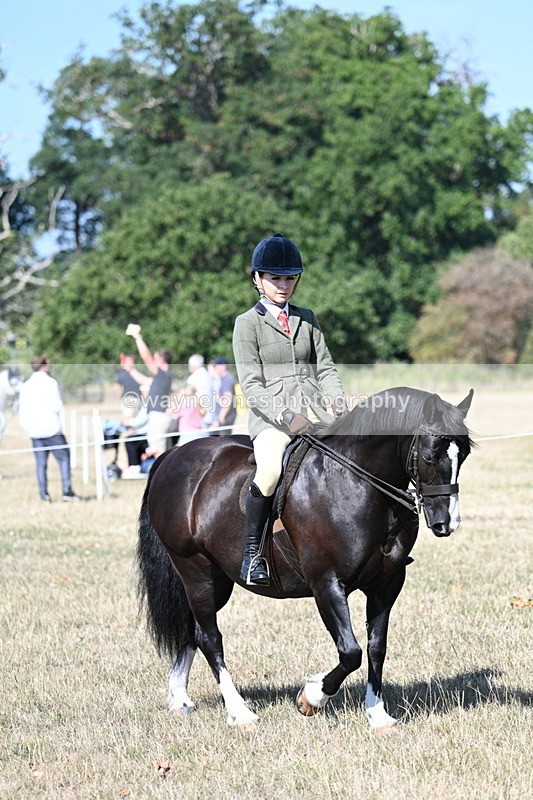 WJ7_3549 - Class 9 Mountain & Moorland Ridden