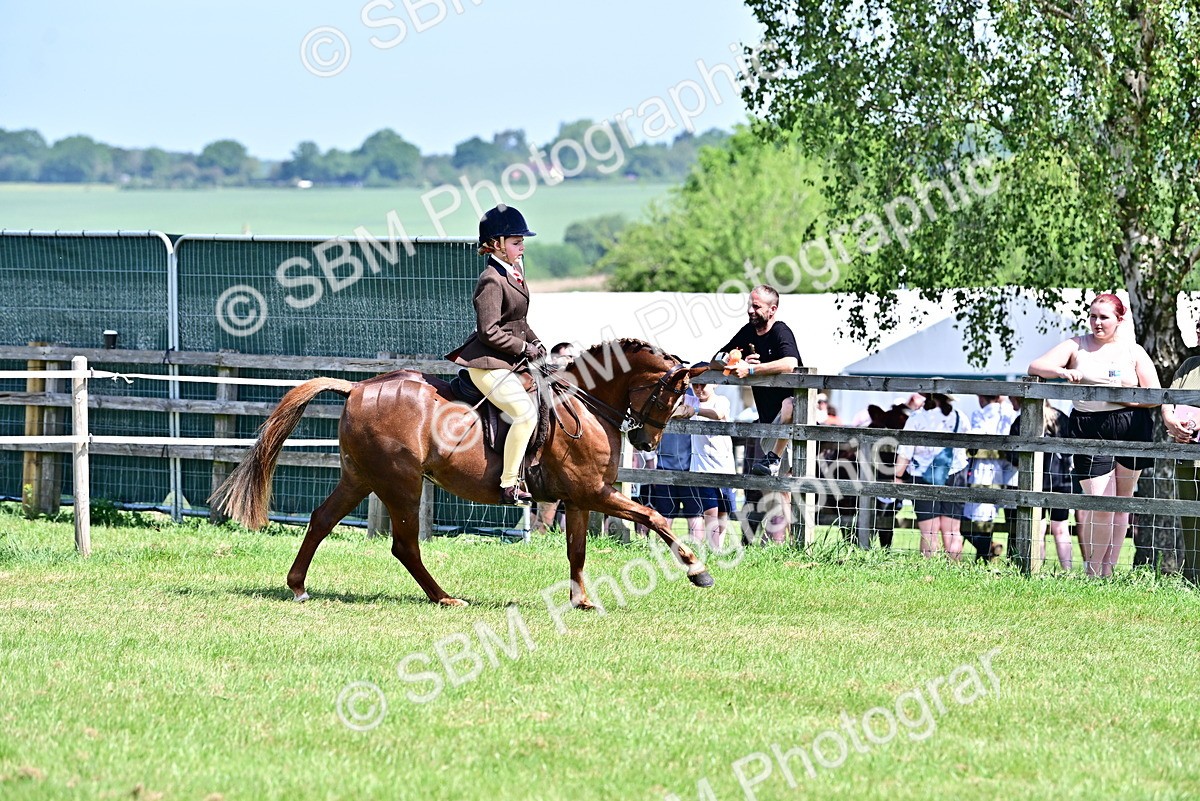 SBM_13876 - Class 95-97 - BSPS LHS Performance Ponies
