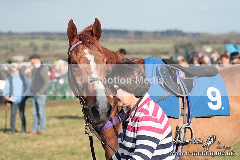 PtP 010325 370 - Beaufort Races Didmarton 01/03/25
