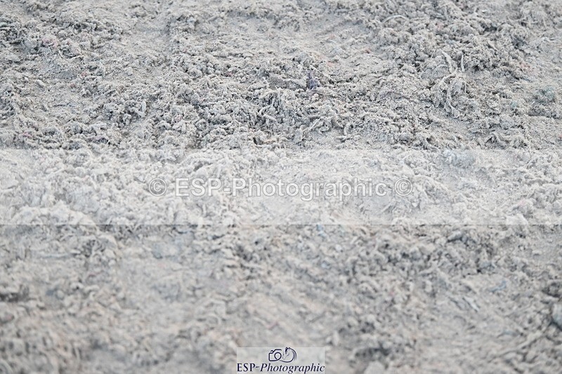 231119A-152151-06326 - Sun Cls 10 Blue Chip JC and JA Handicap