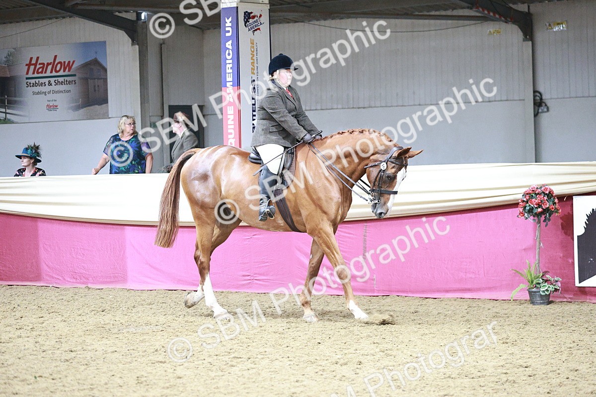 SBM_08732 - Class 12R - Regional Ridden Pre-Vet