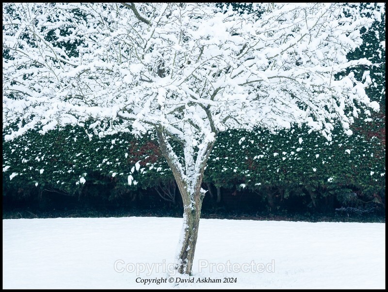 David Askham - Glimpse of Winter - Leica X Vario ISO 500 160 second f5 - The Leica Fellowship Gallery