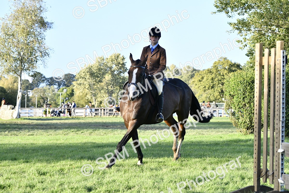 SBM_53565 - S14 - Riding Club Horse