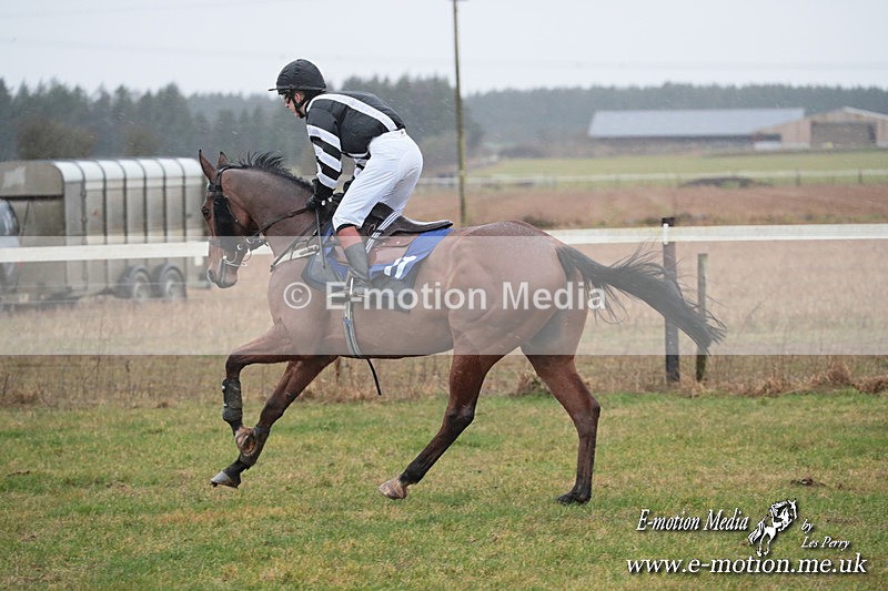 PtP 260125 227 - Cocklebarrow Point-to-Point racing with the Heythrop Hunt 26/01/25