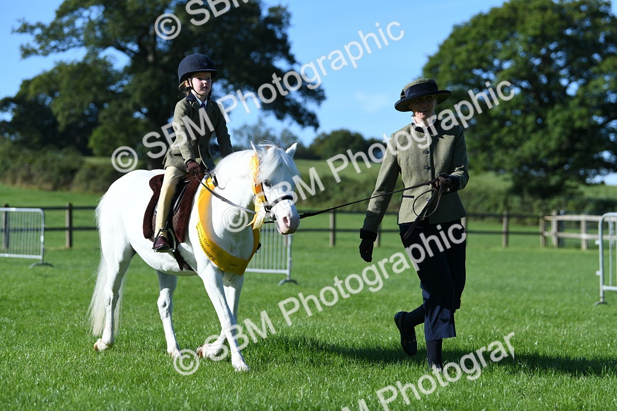 SBM_35505 - S17 - Condition & Turnout - Lead Rein