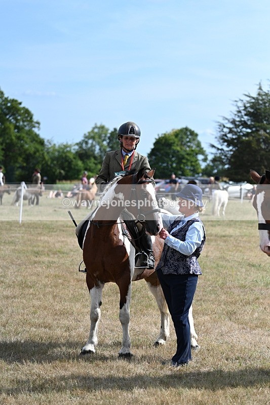 WJ7_7369 - Class 14 Ridden Coloured