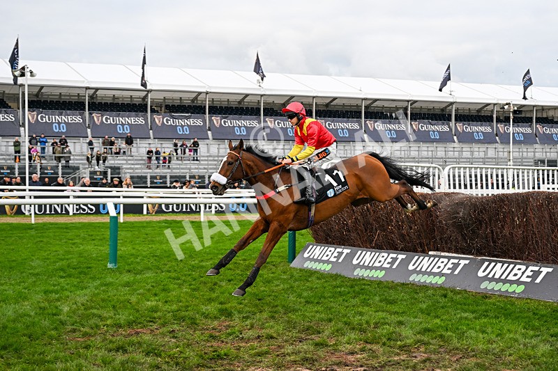 161125-Race 3-Calgary Tiger-5827 - Race 3