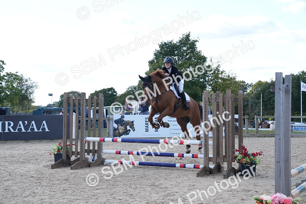 SBM_25936 - J61 - Clear Round 75cm & 85cm