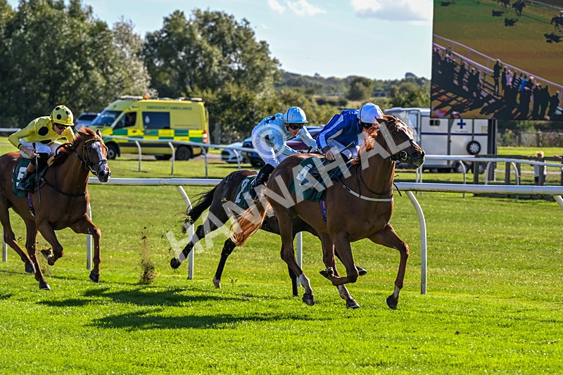 300926-Race 2-Gold Key-5984 - Race 2 2.32pm EBF Maiden Stakes