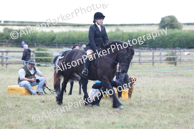 20250831-2386 - Class 16 - Family Pony