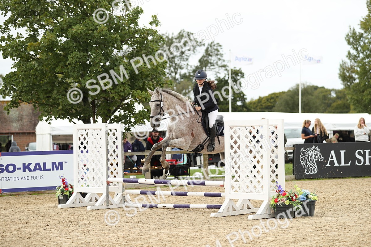 SBM_40314 - J21 - Junior Horse 60cm Championship