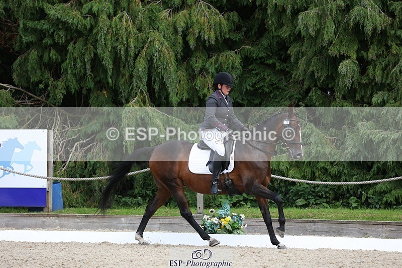 230812-135717-04345 - Cls 5 Novice Bronze 13.40 to 14.45 break