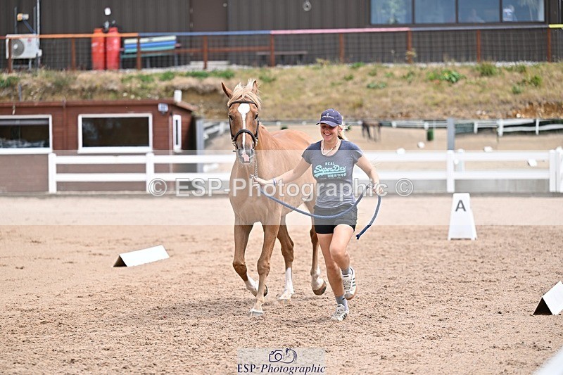 250716-132813-00537 - Trot Up 12.30 to 1.30