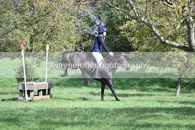 WJ7_8575 - 60cm Pairs