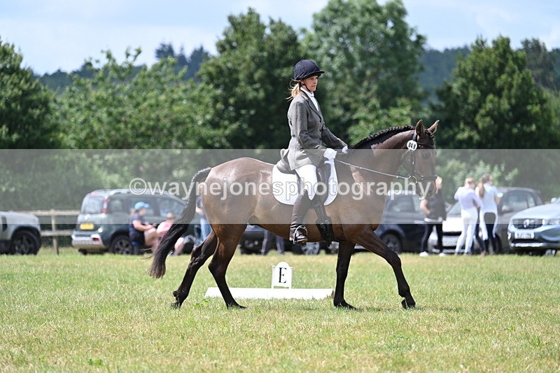 WJ7_4868 - Time 11:22 to 11:51