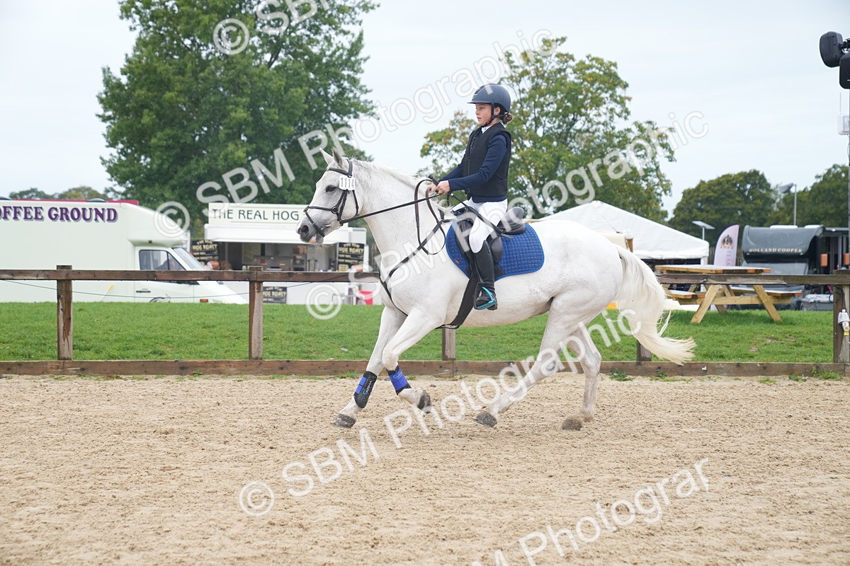 SBM_01813 - J54 - Clear Round 50cm