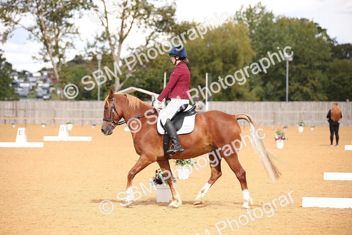 SBM_06740 - D8 Small Tour Championship Prelim 7