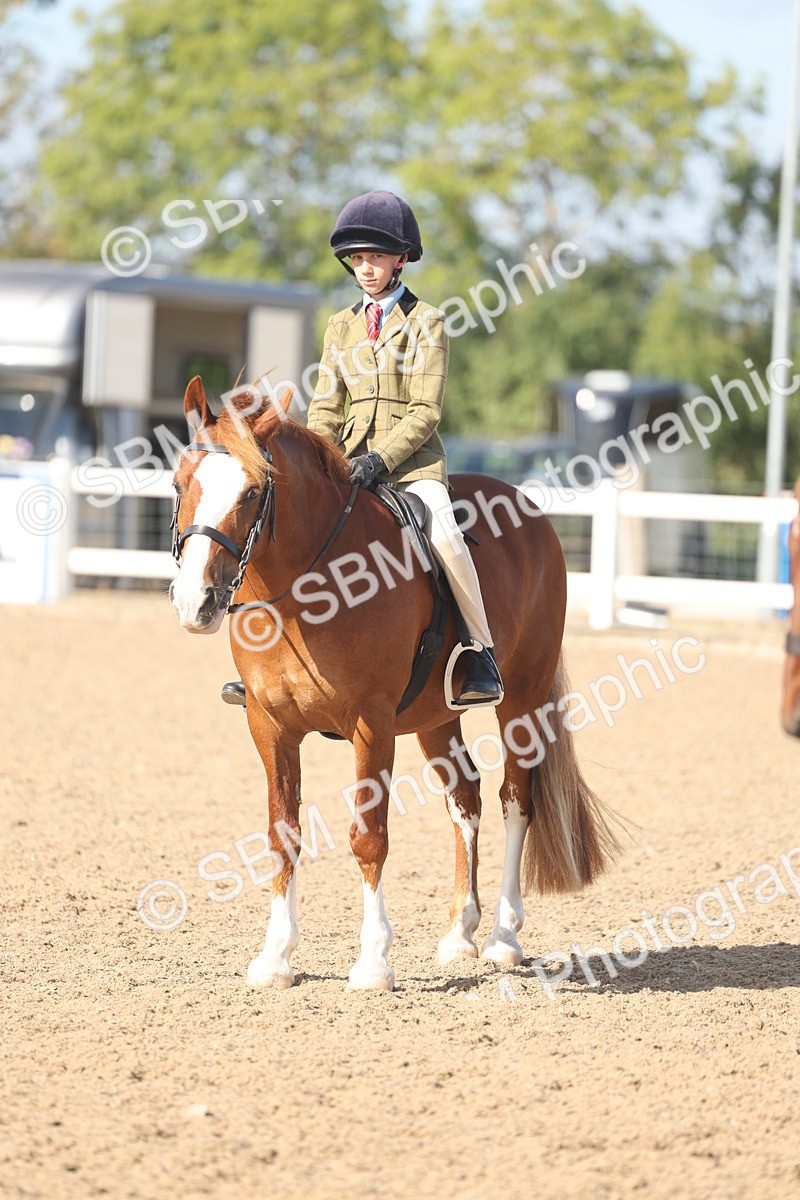 SBM_22623 - Class 804 - Ridden Veteran Pony