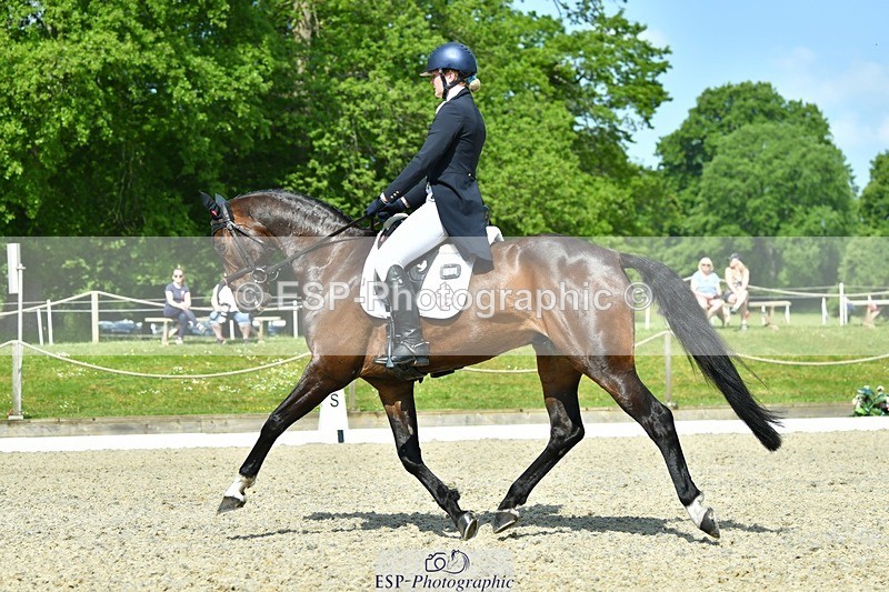 230525-102510-03893 - 412-SAN_SOLO-Imo_Brook-DR