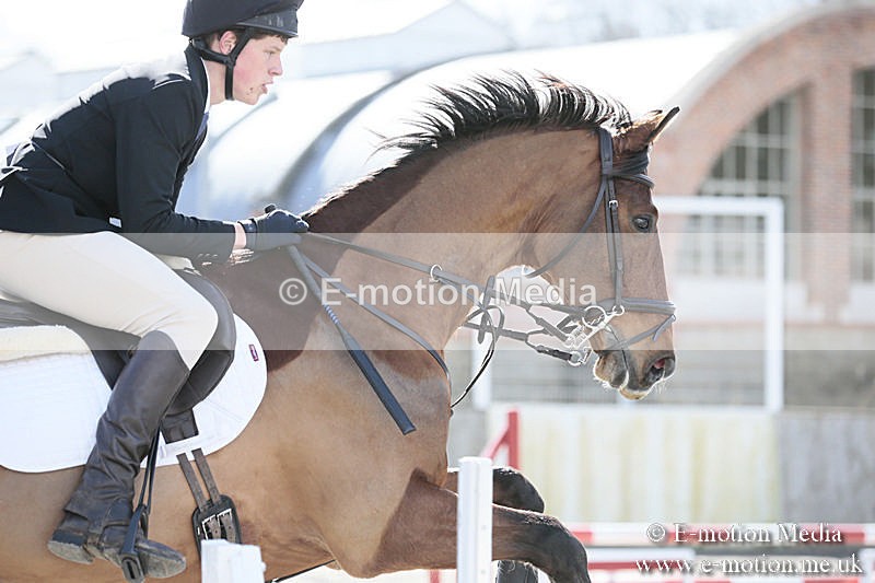 BVRC SJ 170319 372 - Bourne Valley Riding Club Showjumping 17/03/19