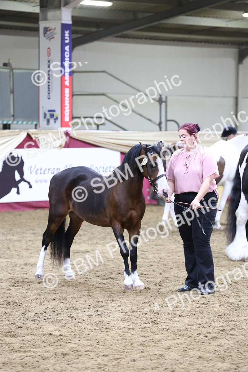 SBM_20170 - Class C - Novalty Champ