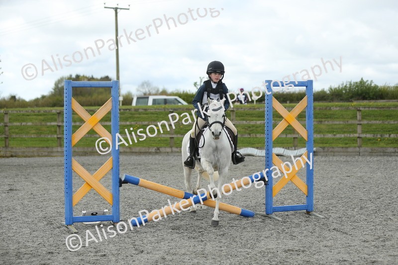 20260412-0697 - Show Jumping