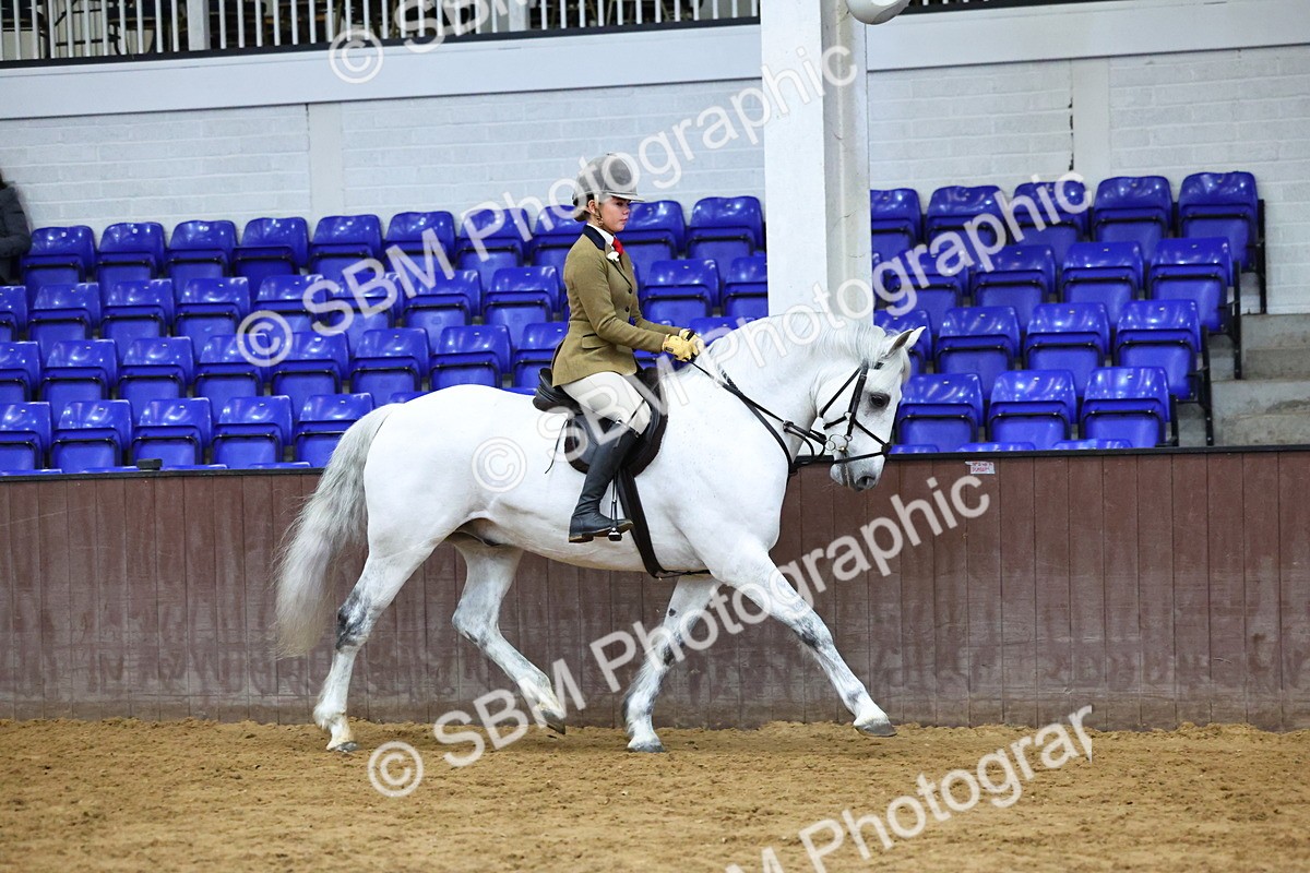SBM_005577 - M&M Novice WHP Championship