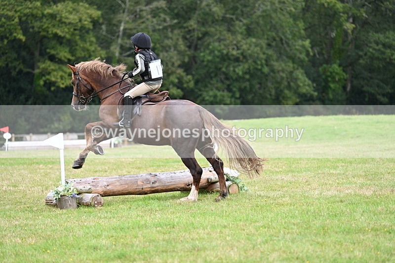 WJ7_7488 - 40cm Time 10:27 to 10:47