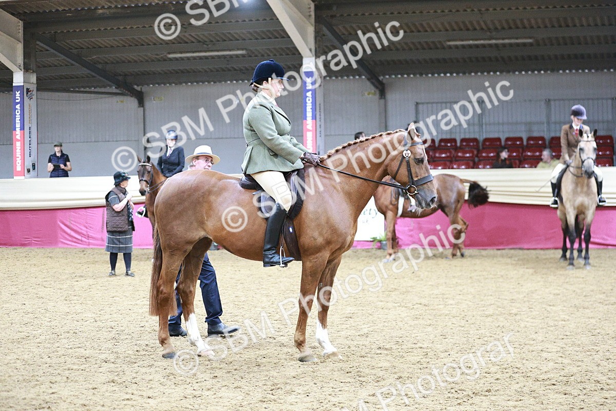 SBM_03388 - Class 6A Area Ridden Pre-Vet