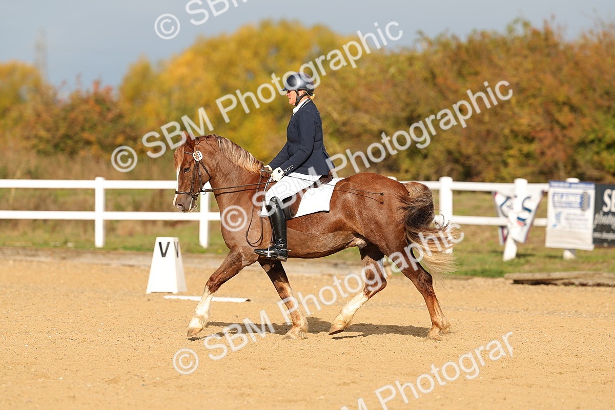 SBM_009278 - Class 1 - P4