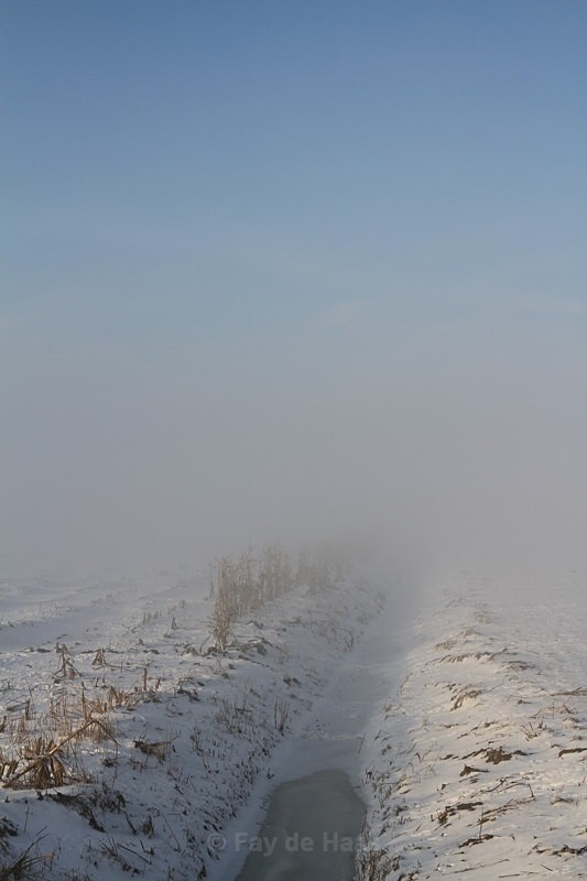  - Misty Morning