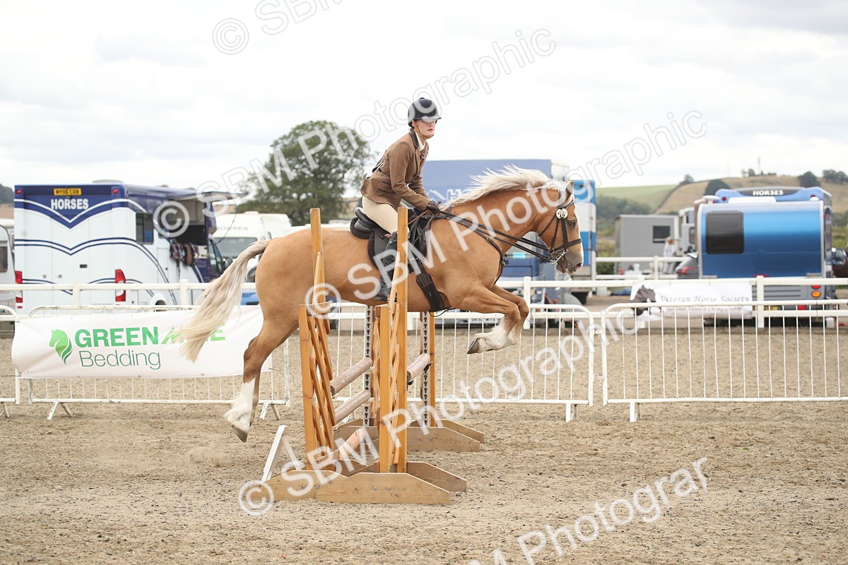 SBM_18308 - Class 509a - Working Veteran - 80cm (15-19)