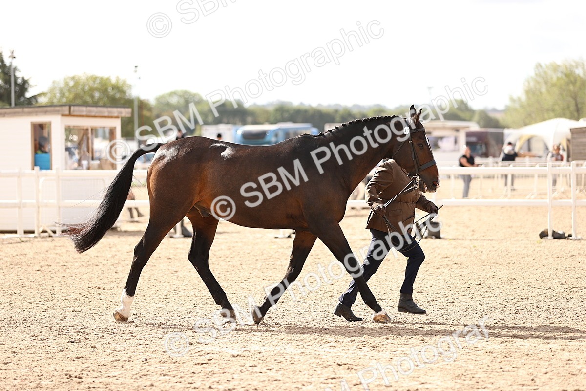 SBM_10470 - Class 406 - IH Hunter