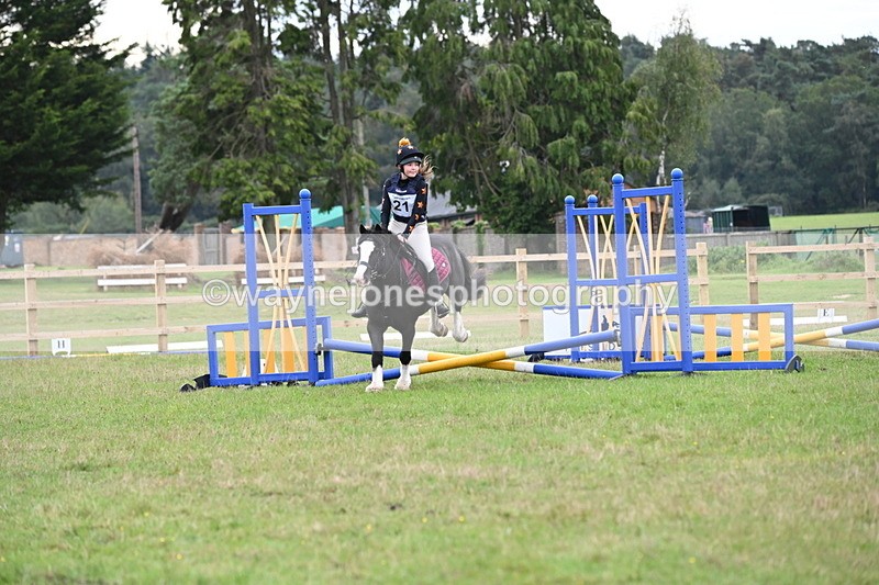 WJ6_0627 - 40cm Time 10:29 to 10:52