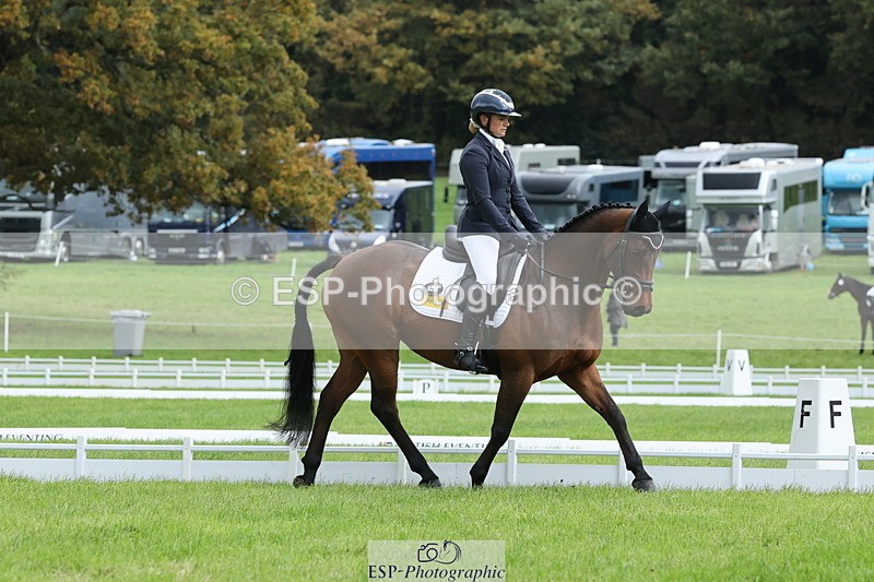 251023A-115016-03426 - E-384-Holly.Horton