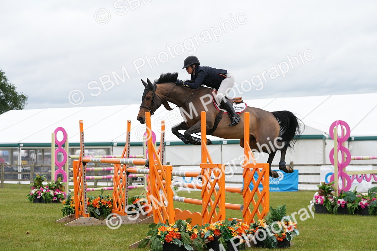 SBM_03079 - Class 201 - British Horse Feeds Speedi Beet Horse of the Year Show Grade  C