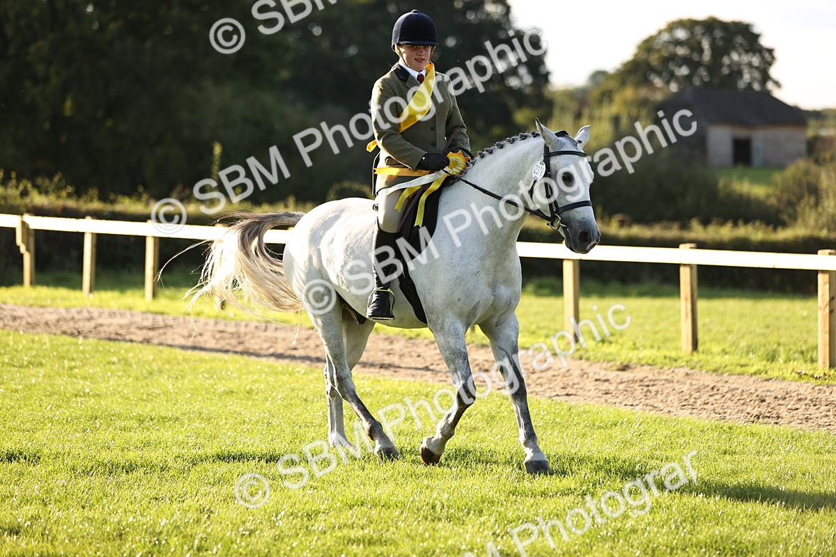 SBM_29658 - S7 - Novice & Newcomers Ridden Pony