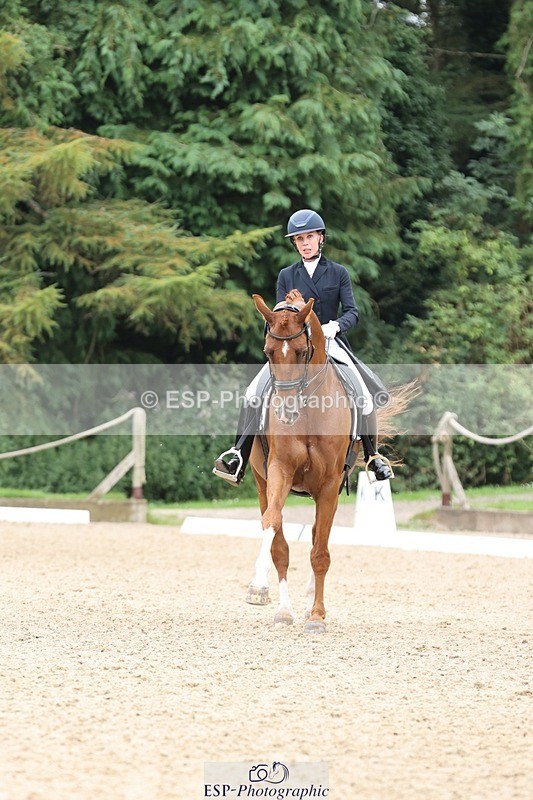 240810-133526-03349 - 188-Amanda.Towle.Shaw-Rockwood.Virtue