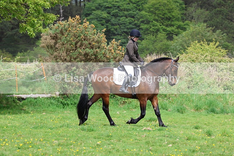 3E7A1703 - Class 9: Riding Club Horse/Pony