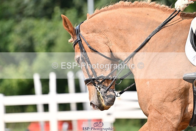 250816-142610-05359 - 147-Gill.AmosCoille.Mor.Pearl