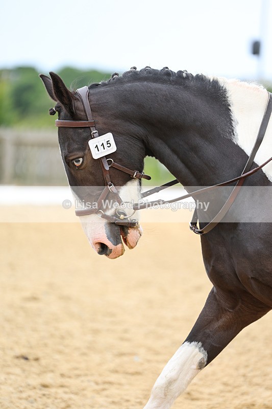 3E7A9340 - Class 2: Intro 1 2024 Section B