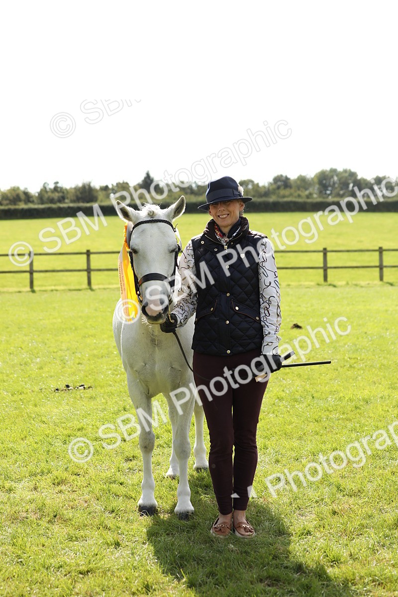SBM_65629 - S48 - Show Pony & Show Hunter Pony In Hand
