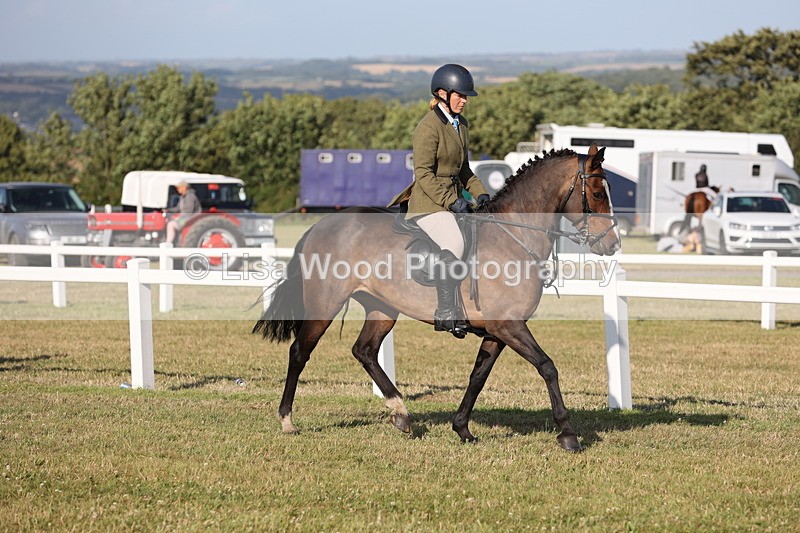 JPP_3266 - Class 21: Working Hunter 80cm
