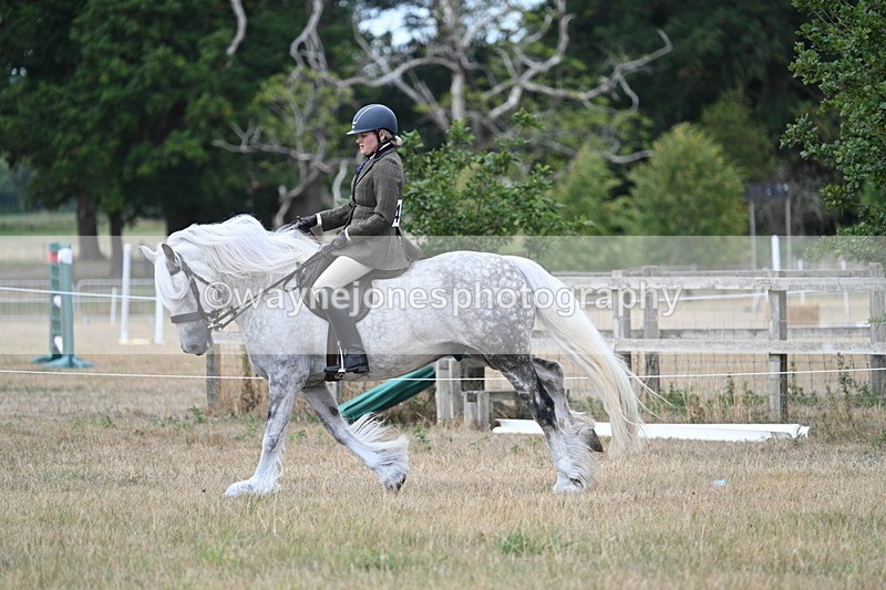 WJ7_5139 - Class 12 Ridden Cob