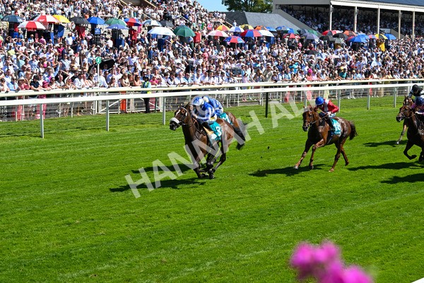 120725-Race 3-Fox Legacy-5687 - Race 3 3.10pm John Smith's Cup Handicap