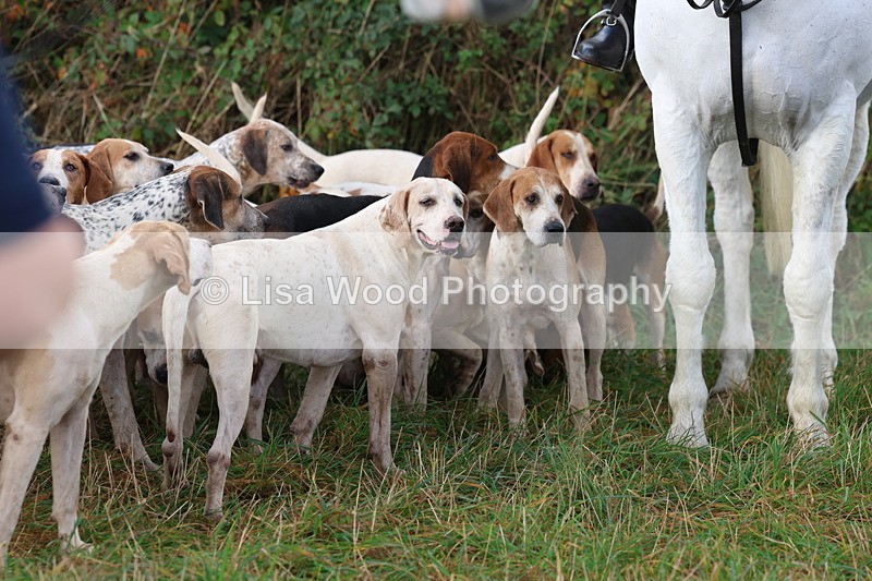 3E7A0559 - Four Burrow Opening Meet 2025