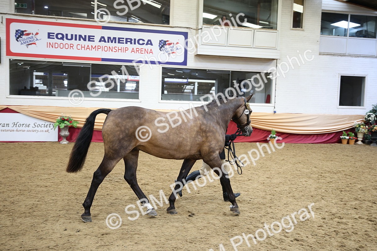 SBM_24725 - Class 906 - Supreme Final - Ridden Pre Vet
