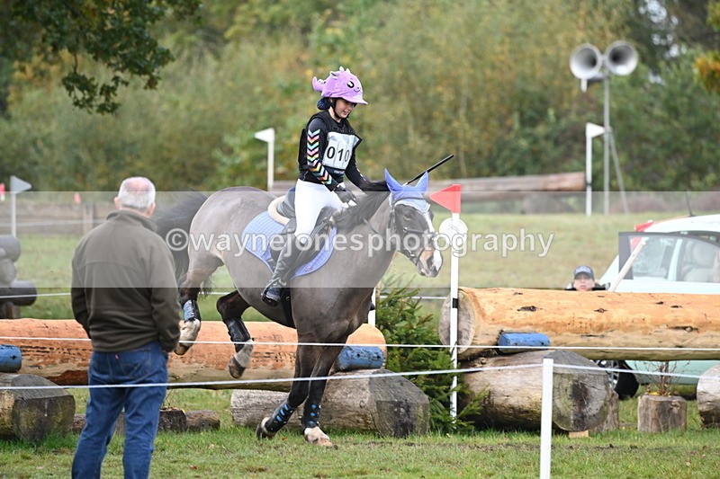 WJ6_1743 - 80cm Cam 1 Time 10:08 to 10:45